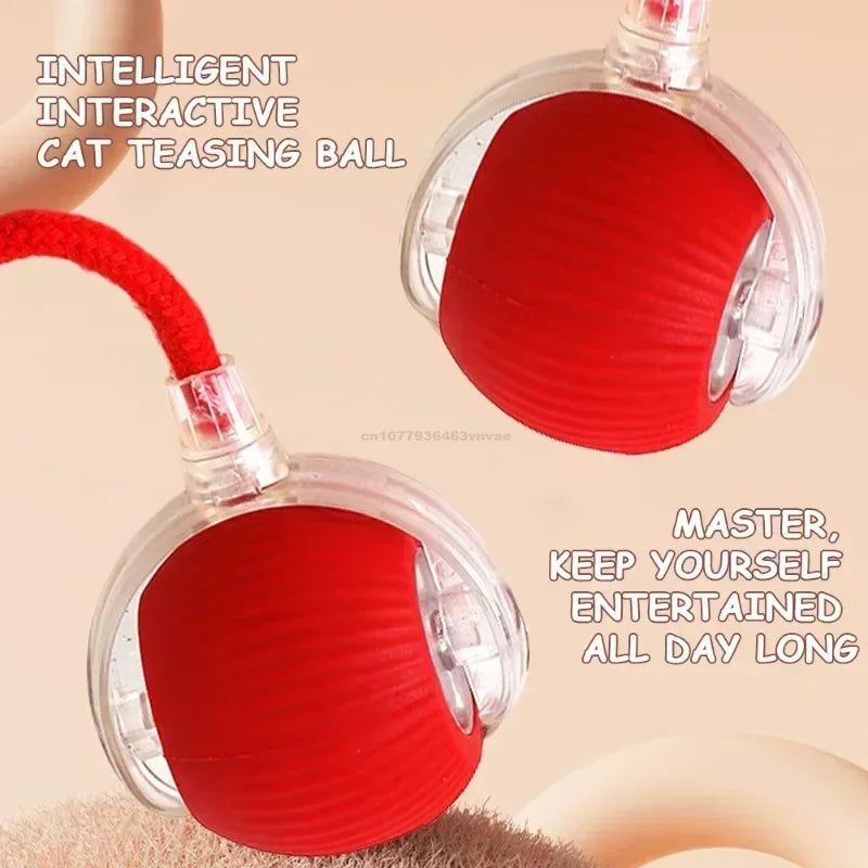 Electric Cat Ball Toys Automatic Rolling Ball Faux Tail Rechargeable Pet Interactive Toy Dog Cat Training Imitate Mouse Pet Toys Zpaxo
