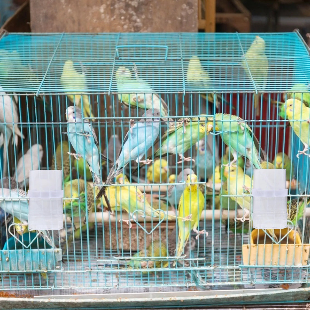 2Sets Automatic Bird Feeder Waterer Plastic Feeding Container Simple Zpaxo