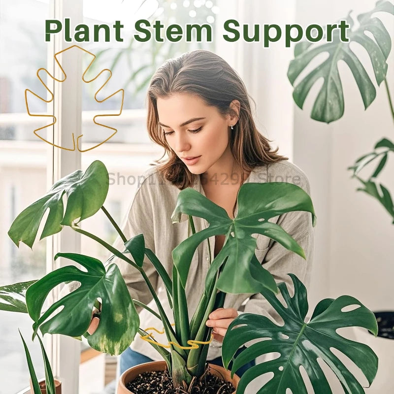 Anti-toppling Plant Stem Support No Nail Needed Multi-purpose Flower Climbing Stem Holder Vine Branch Monstera Stabilizer Zpaxo