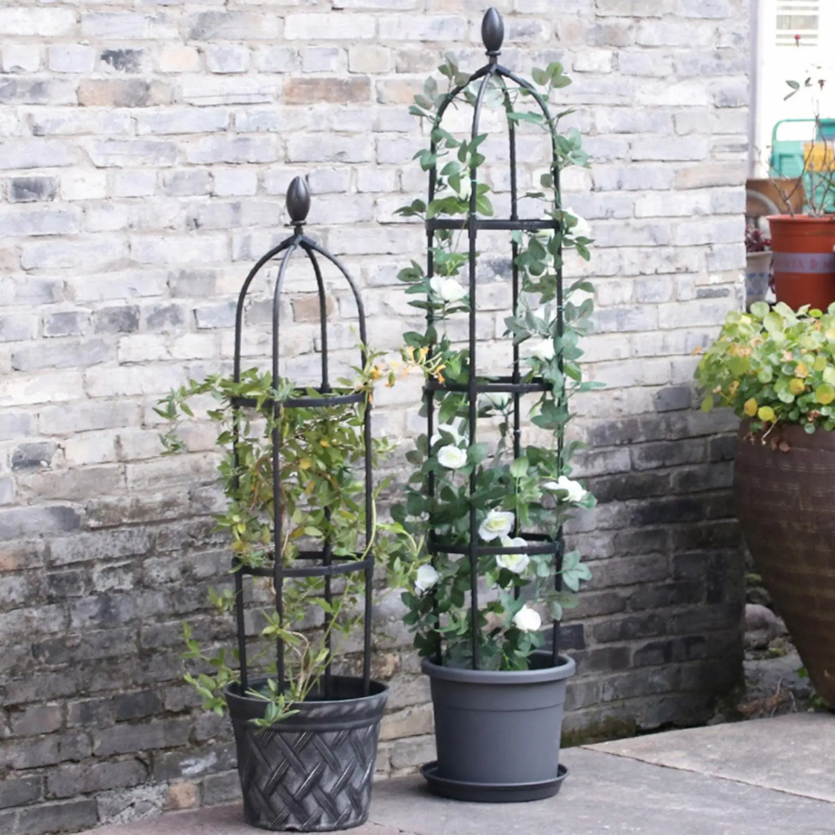 Obelisk Trellis Rustproof Climbing Plant Support Tower Rack Zpaxo