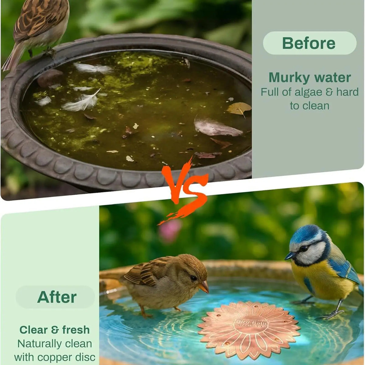 Bird Bath Copper Purification Panel Flower Shape Physical Safe Water Zpaxo