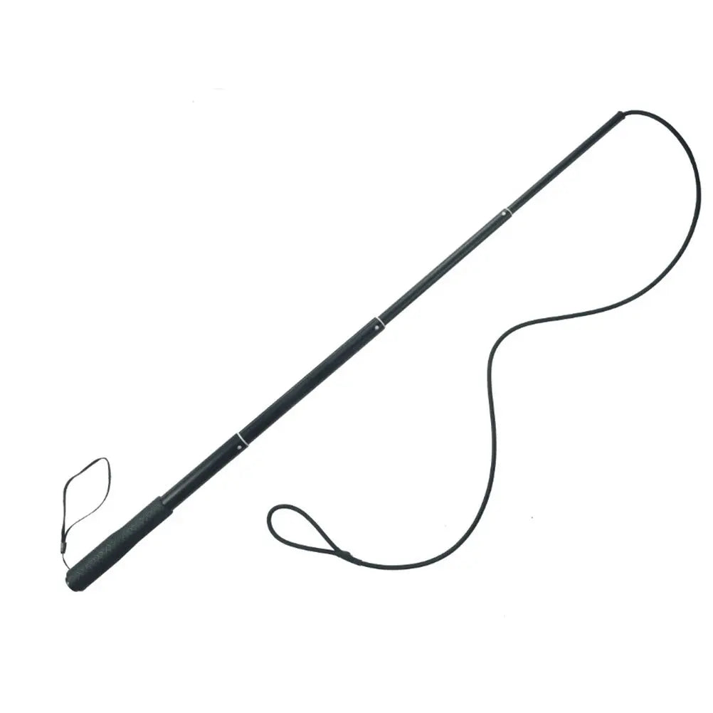 Retractable Dog Trainer Interactive Outside Chew Stick Pet Training Zpaxo