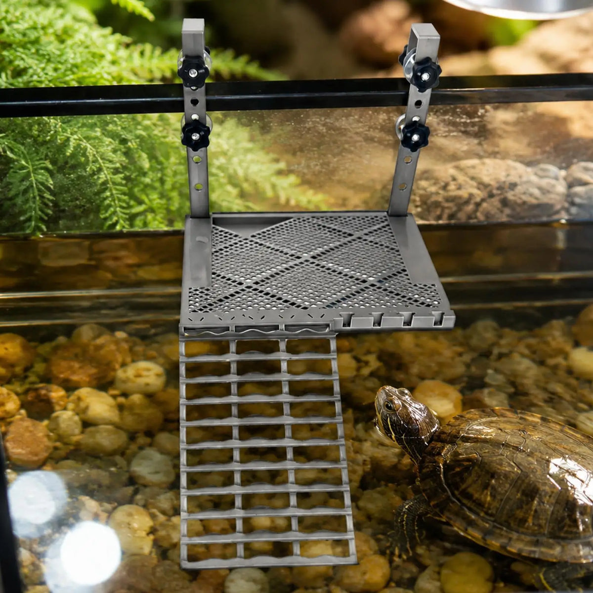 Turtle Basking Area Non-slip Resting Ramp Decoration Food Tank Zpaxo