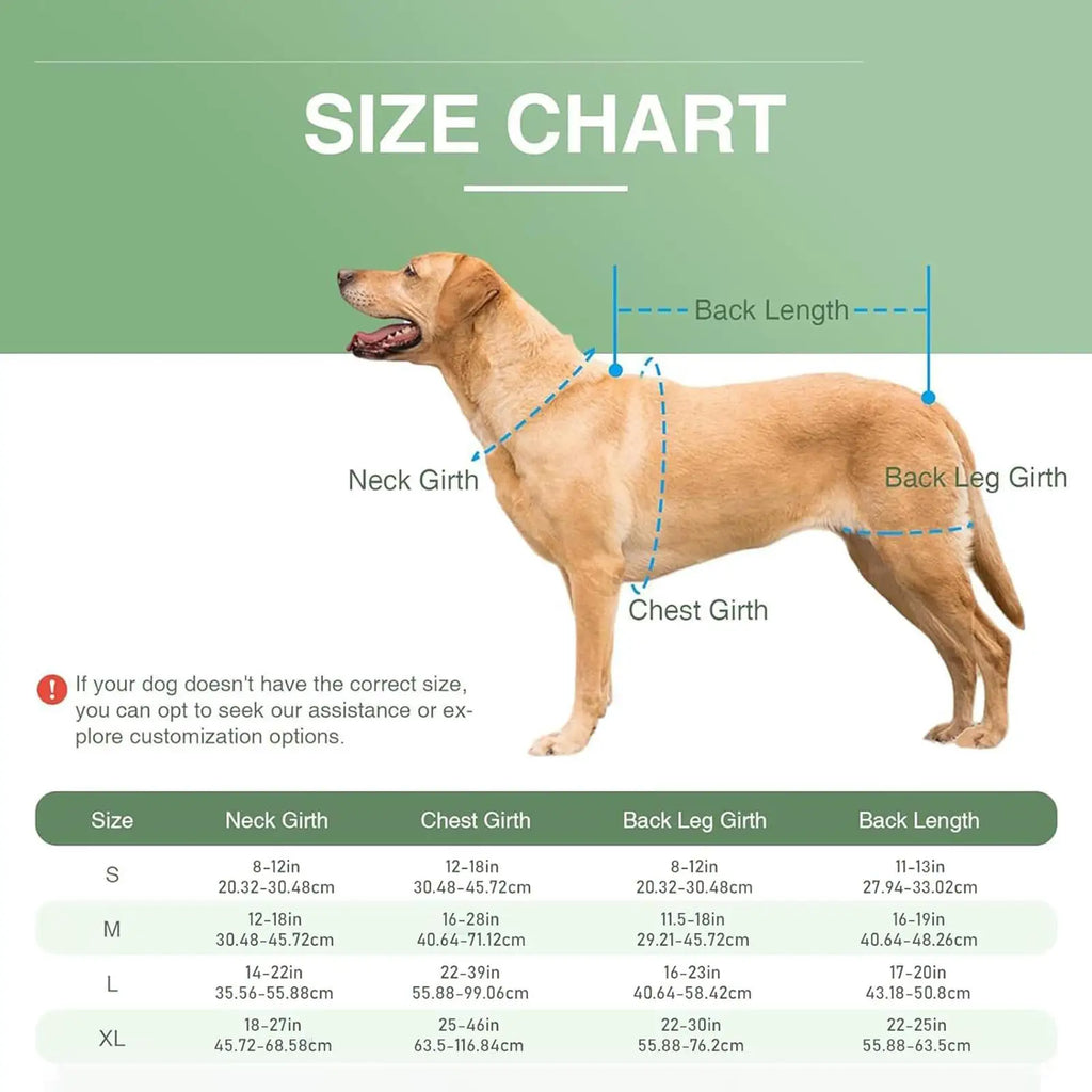 Dog Back Brace Adjustable Spinal Stability Vest Small Support Harness For Stair Step Walking Jogging Home Outdoor Travel Zpaxo