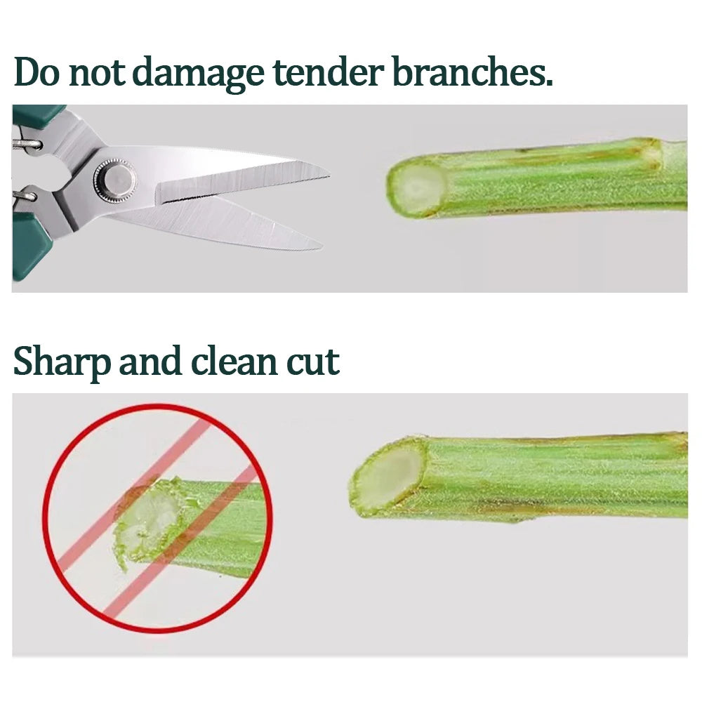 Straight Head Pruning Shears Stainless Steel Non Slip Handle Garden Zpaxo